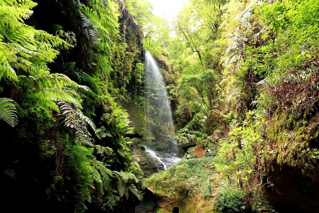Los Tilos - cascada