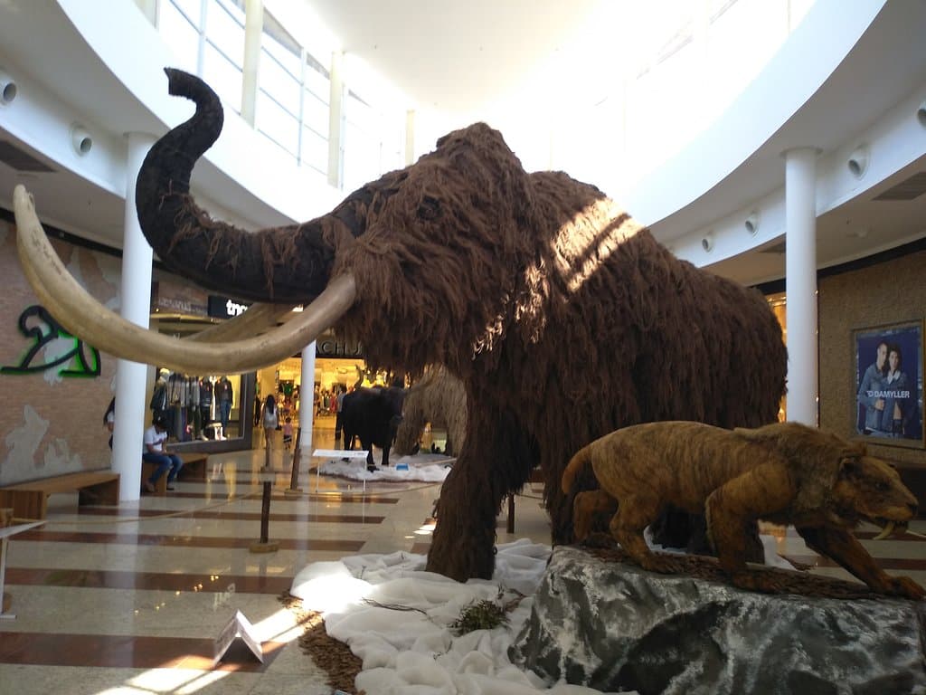 Exposição de animais pré históricos no 