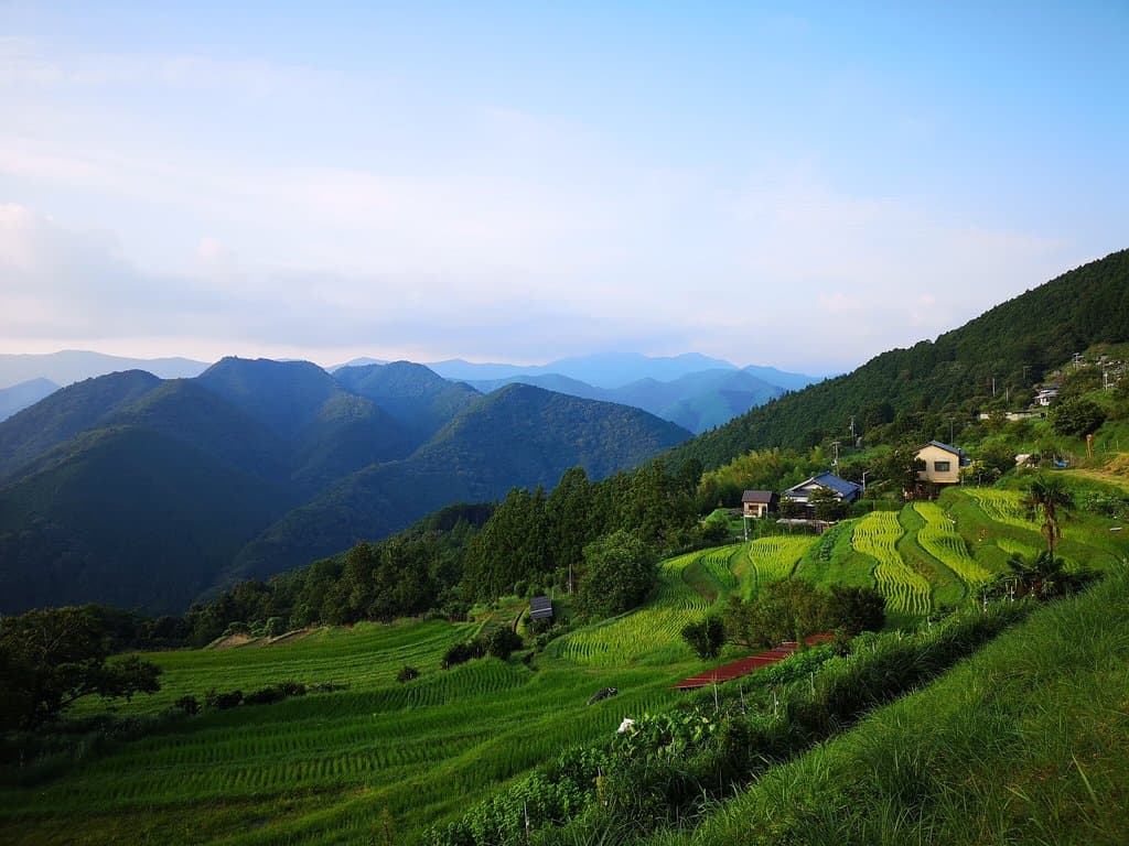 高原霧の里