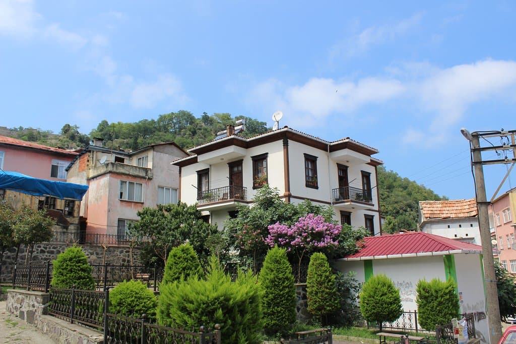 Genel Görünüş