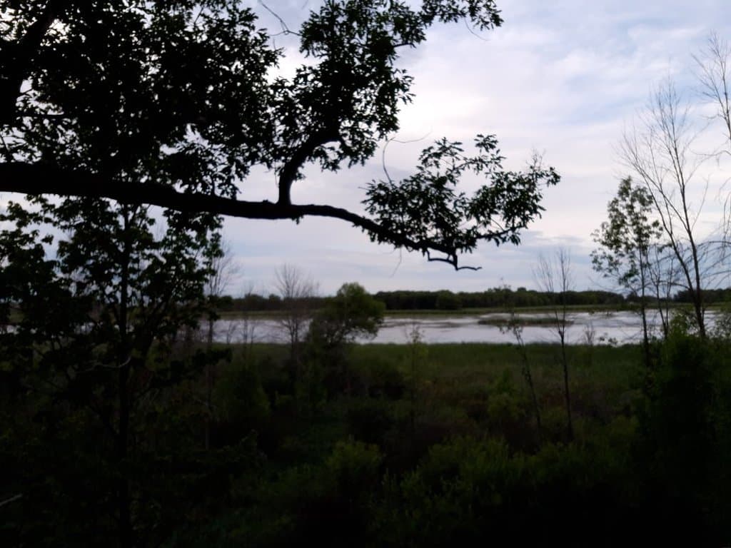 Tobico Marsh Bay City Michigan