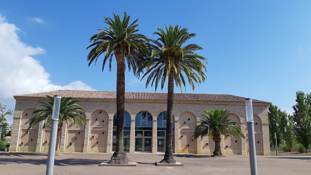 Le musée 