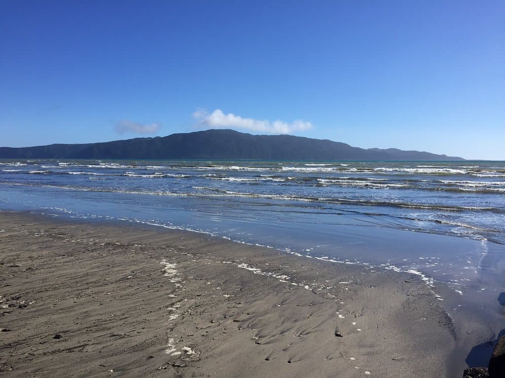 Waikanae Estuary Scientific Reserve