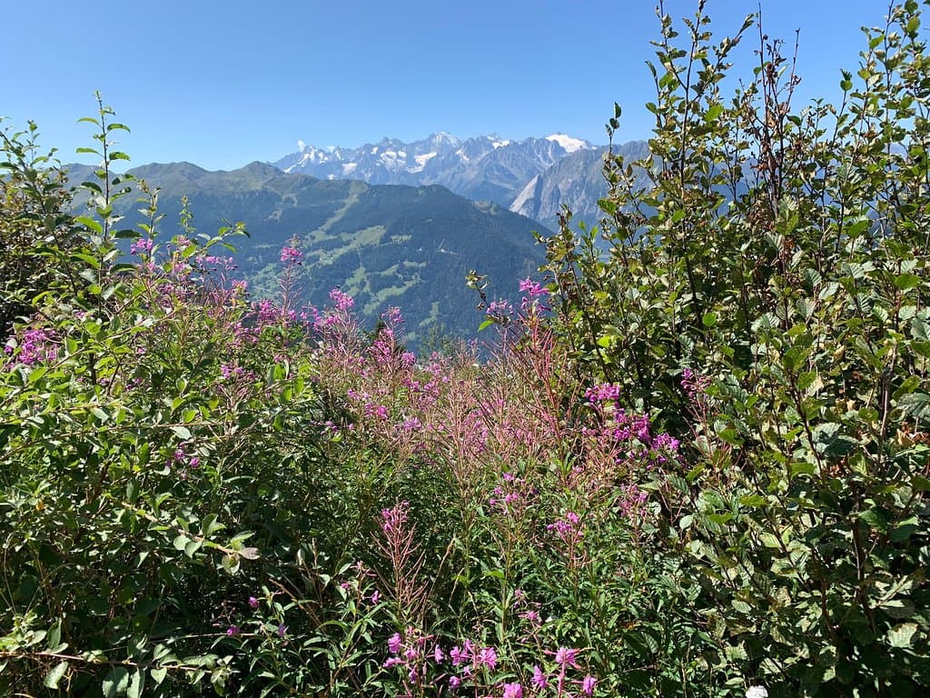 Panorama sauvage, vu sur les glaciers