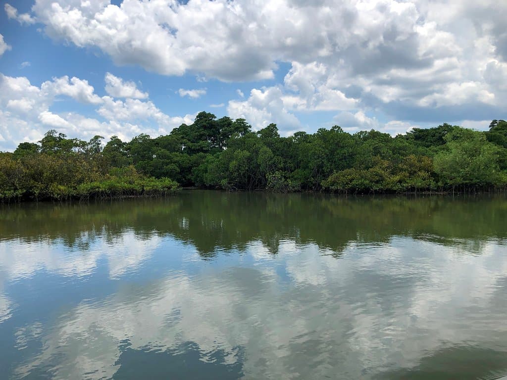 Xinbu Island Haikou