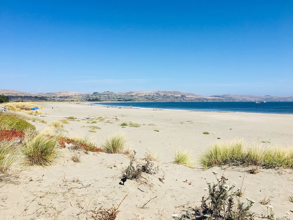 Doran Beach Bodega Bay
