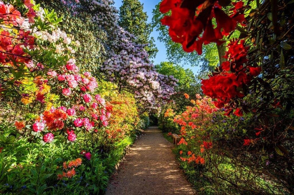 Leonardslee Lakes and Gardens