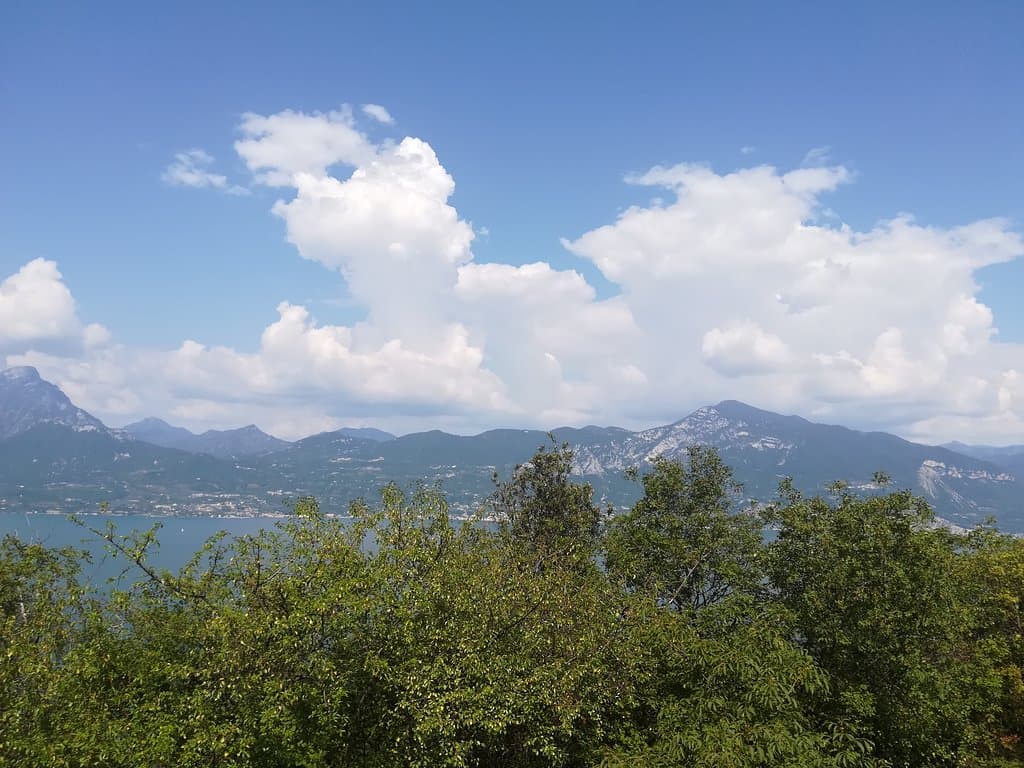 La vista