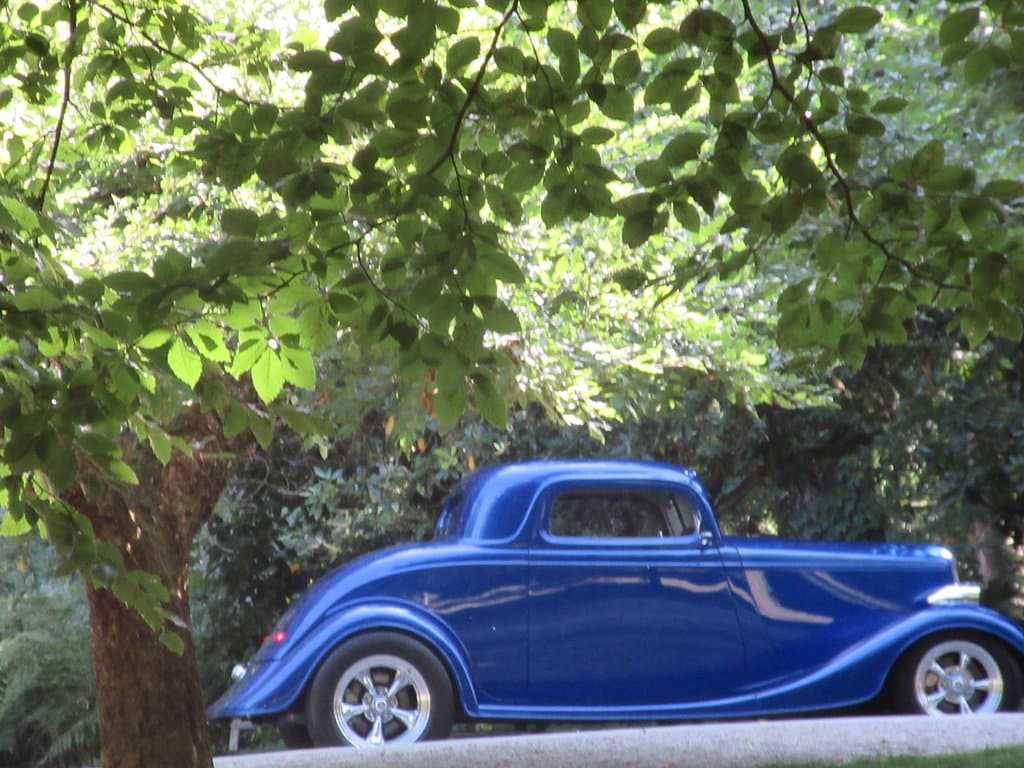Cool car at park