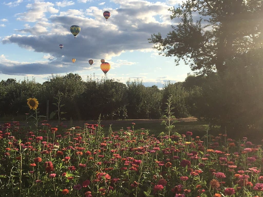 Gull Meadow Farms