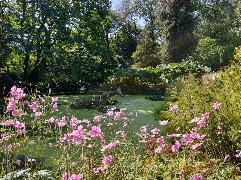 Trengwainton Garden