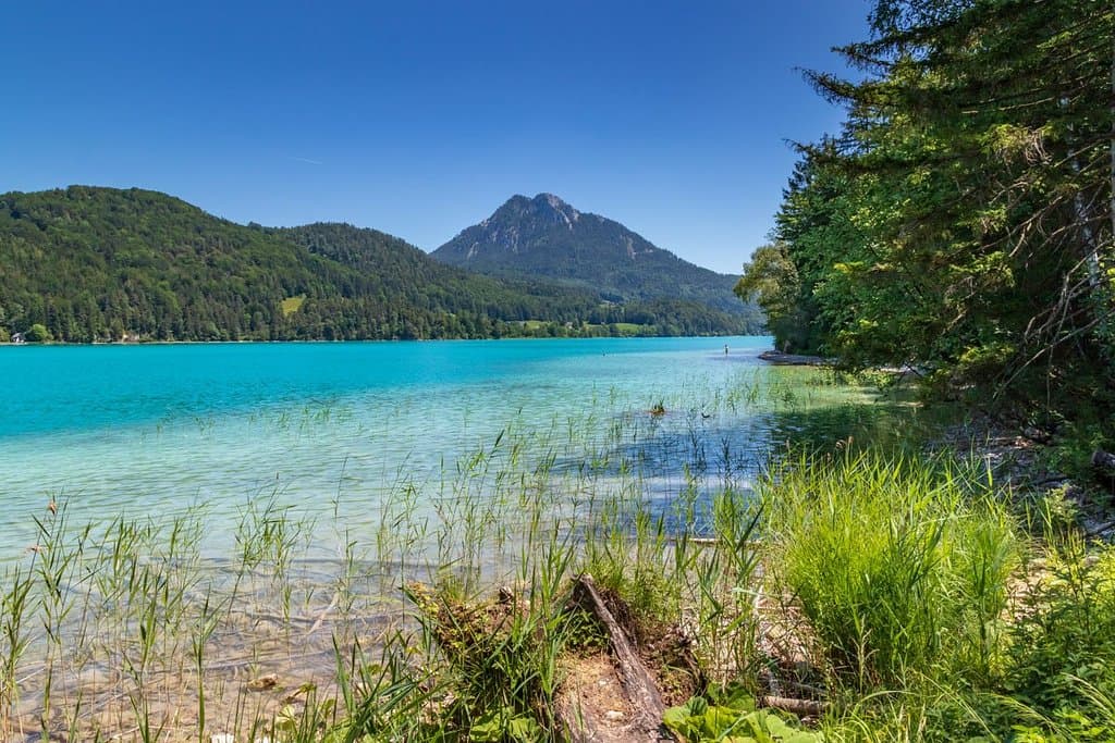 Fuschlsee