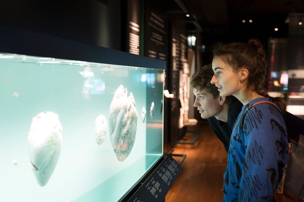 Udstillingen Videnskab er lidenskab