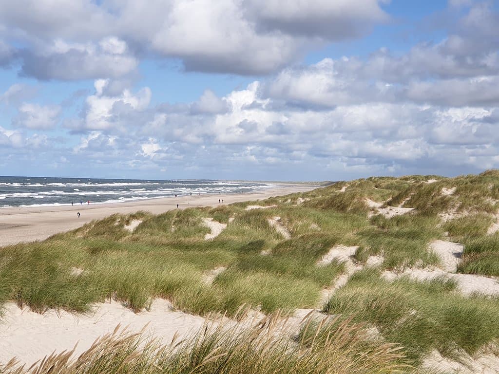 Dünen