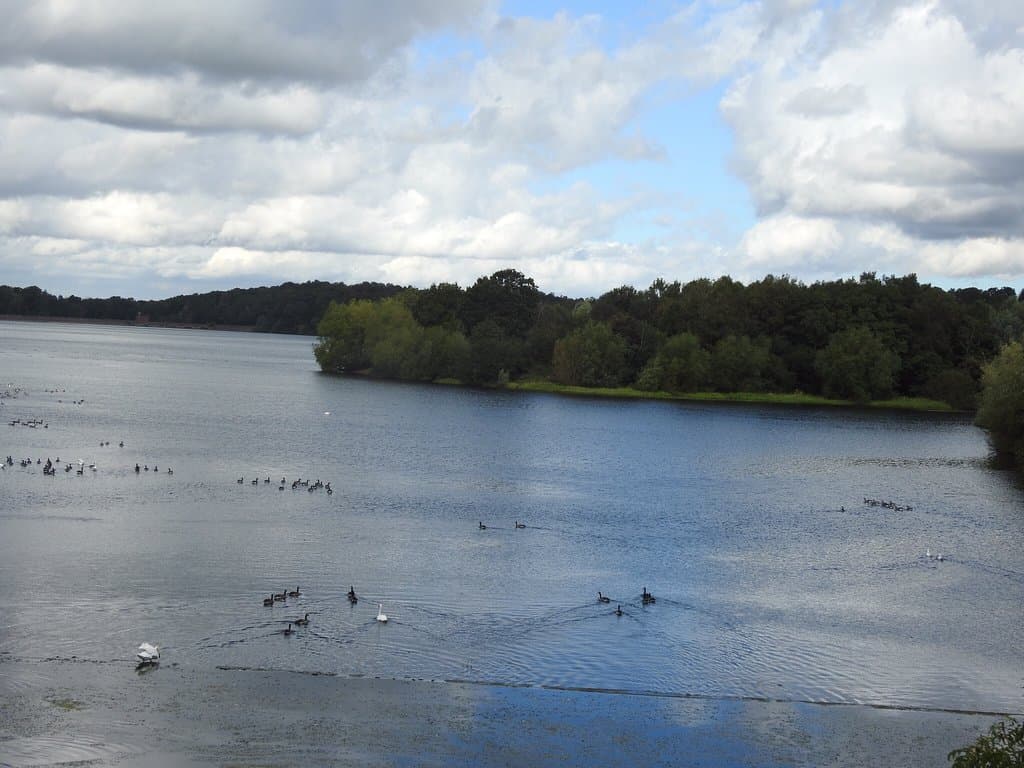 Swithland Reservoir and Causeway