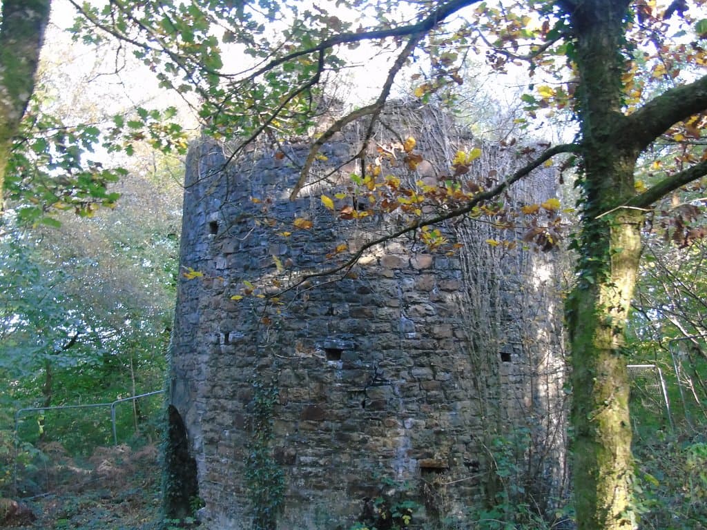 The Ivy Tower