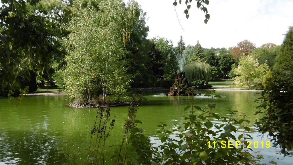 le bassin du jardin