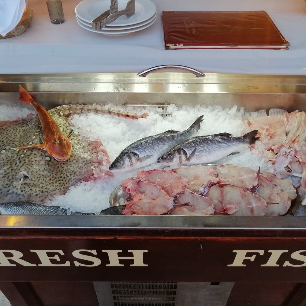Fresh fish