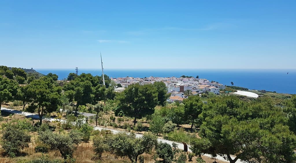 вид с пандуса