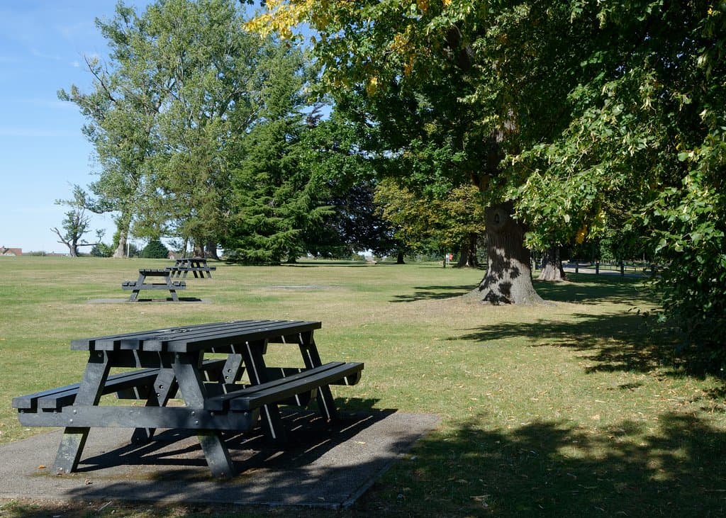 Stockwood Park: picnic benches and plenty of space to play games