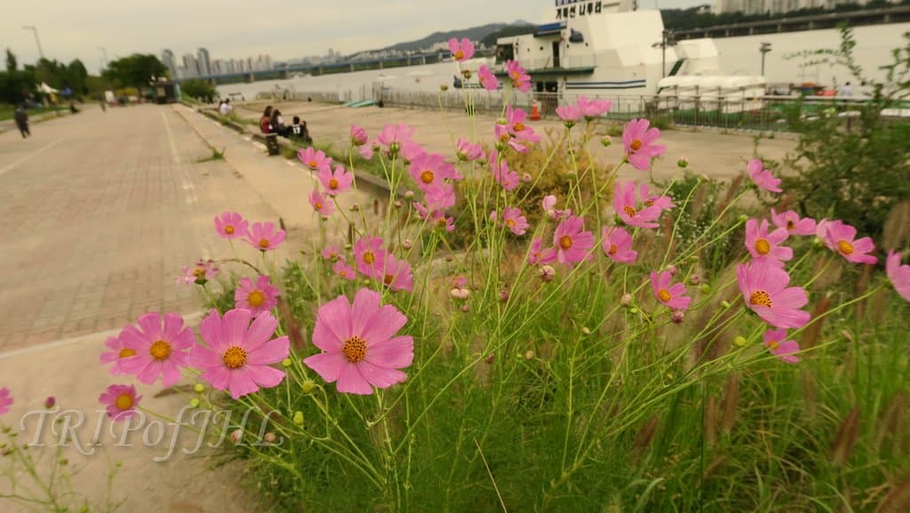 Ichon Hangang Park