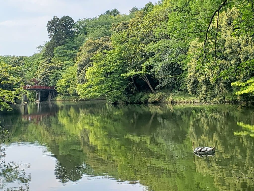 Toyama Castle Park