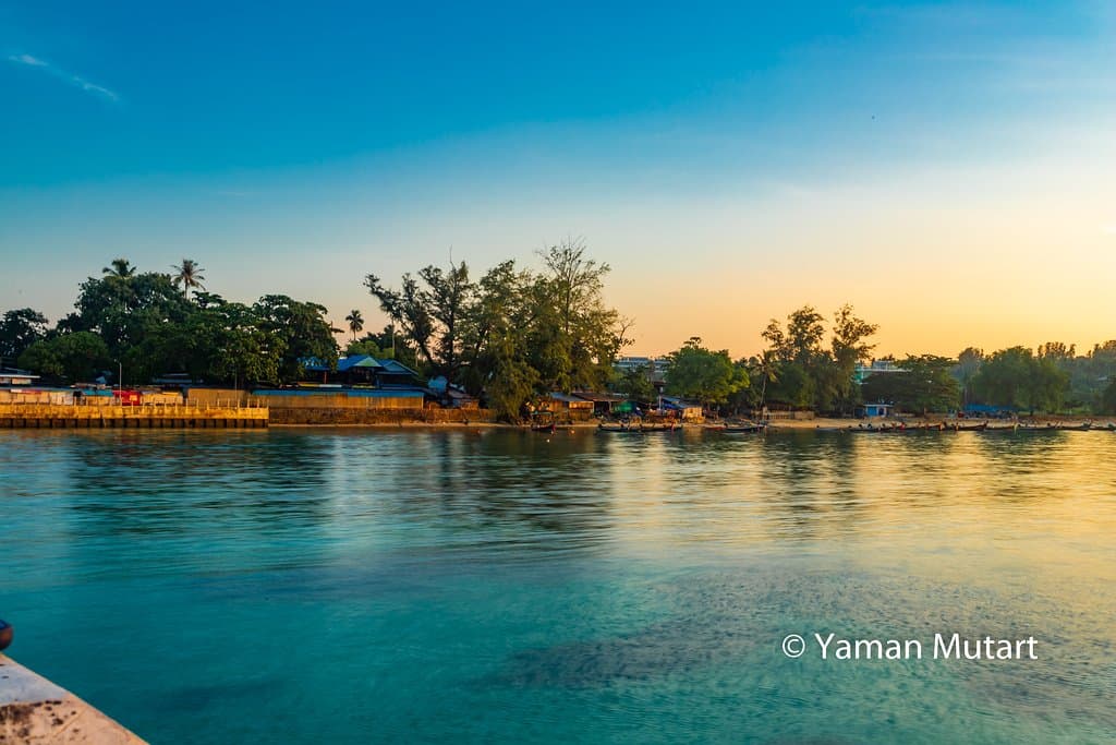 Looking off the pier at the coast at sunrise.