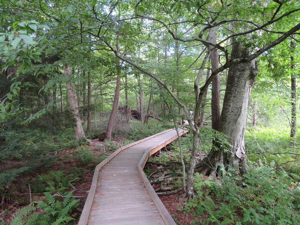 Boardwalk
