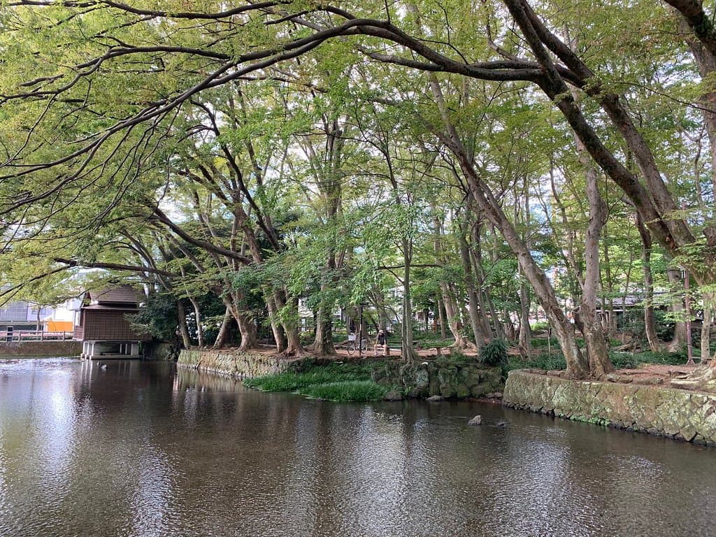 Shirataki Park
