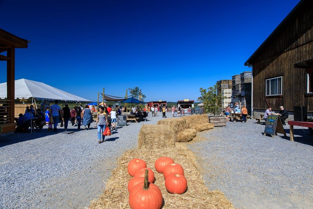 MArket Area