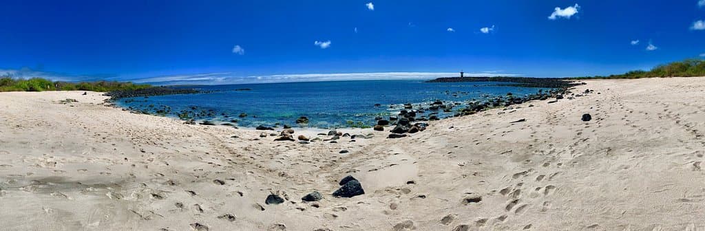 Playa Punta Carola 