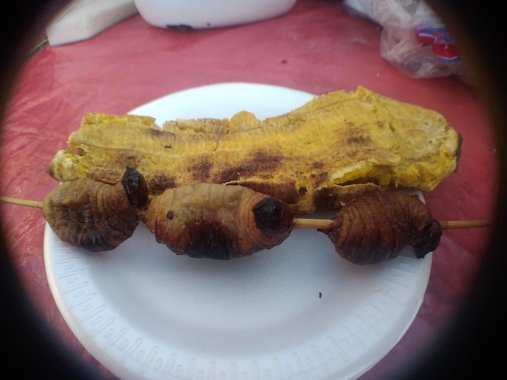 Mercado Municipal Loreto