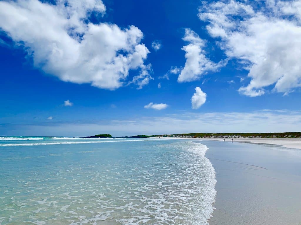 Tortuga Bay