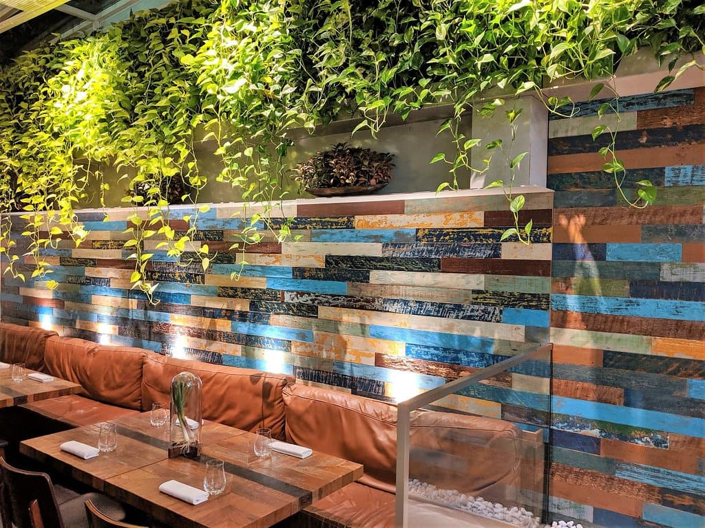 @endoedibles on Instagram 09/04/19