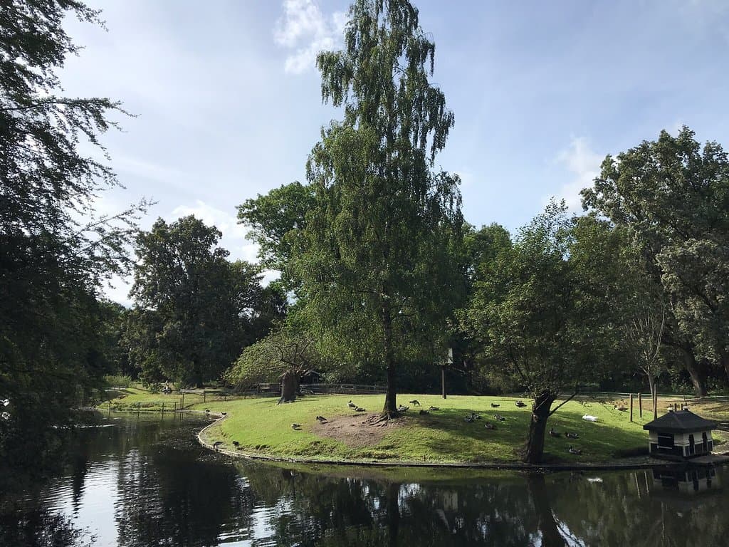 Asserbos Assen
