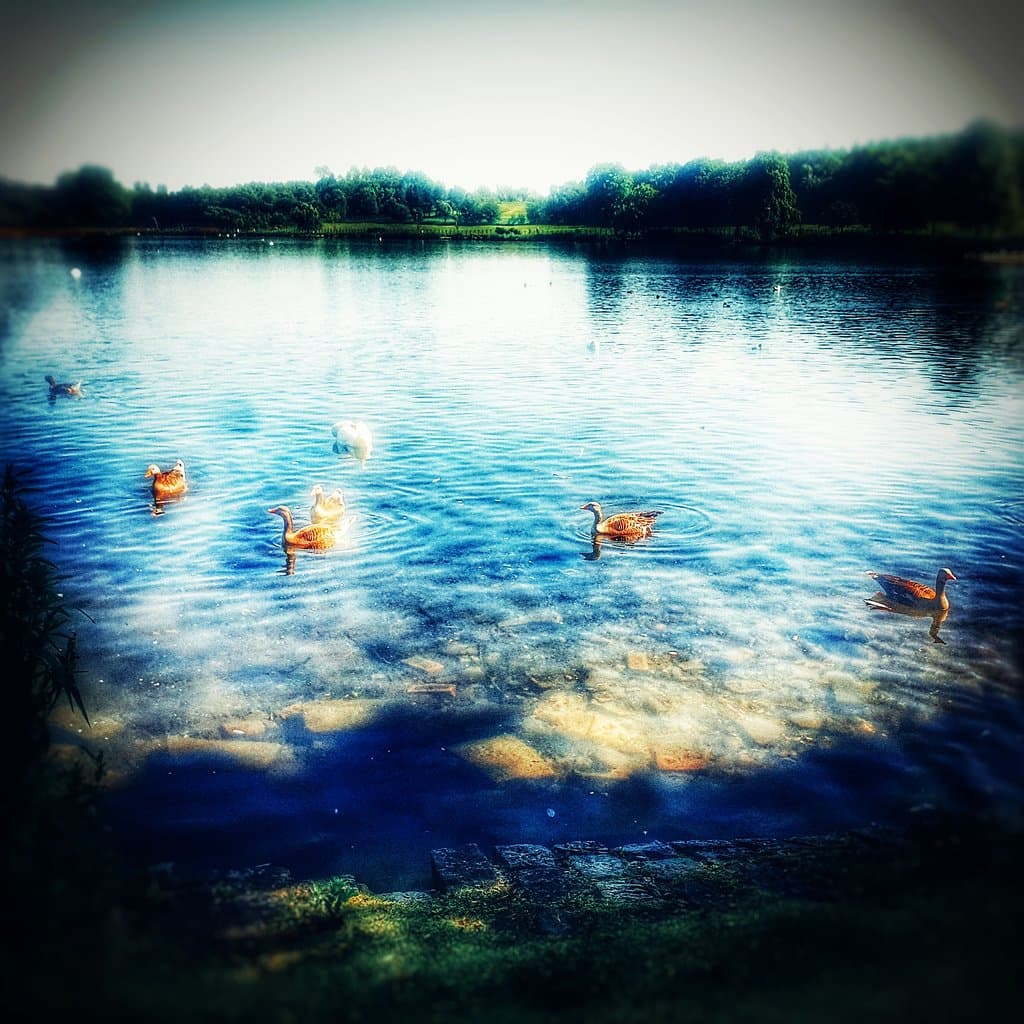 Great wee place to take kids have a wee picnic walk the dog just to relax when its sunny 