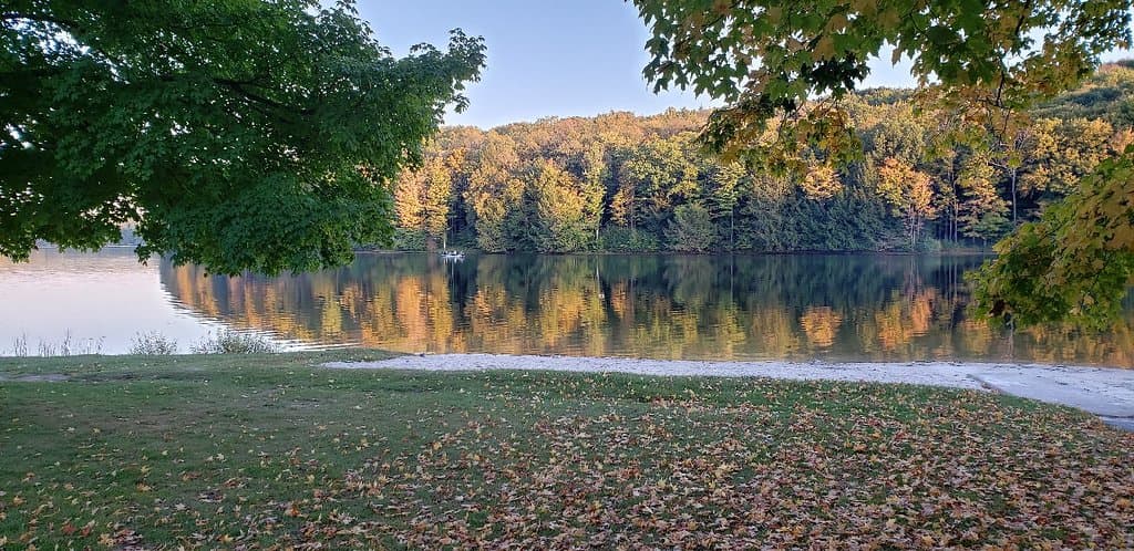 Prince Gallitzin State Park