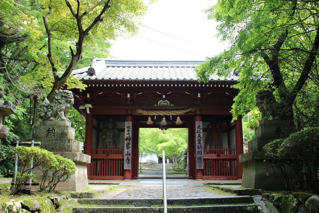 山の中に佇むお寺。春は新緑が鮮やか。