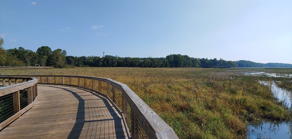 Looking north along Boardwalk