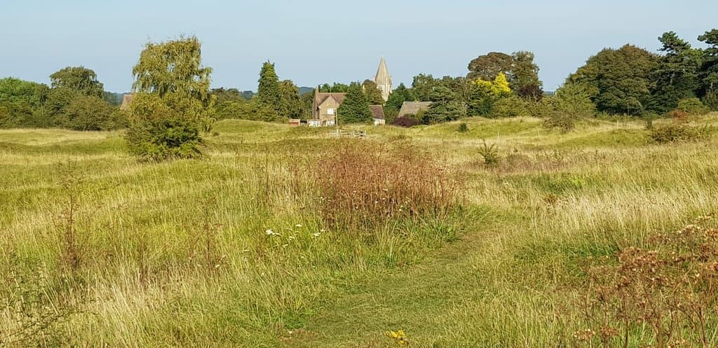 Barnack Hills and Holes National Nature Reserve