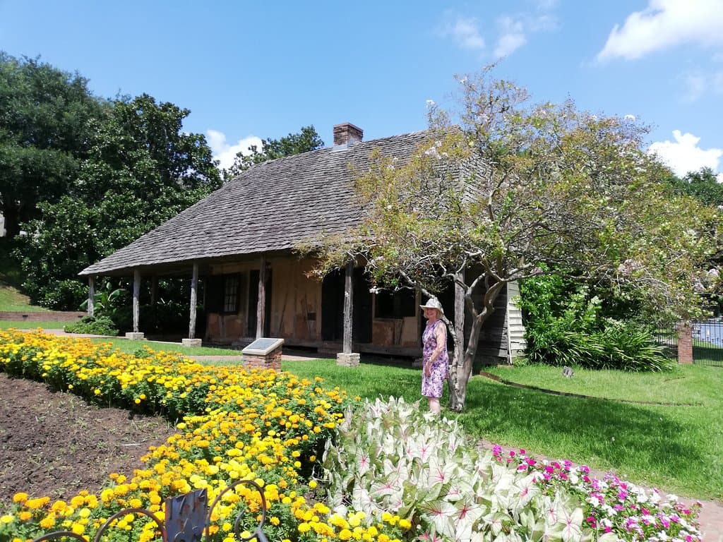 house and flowers