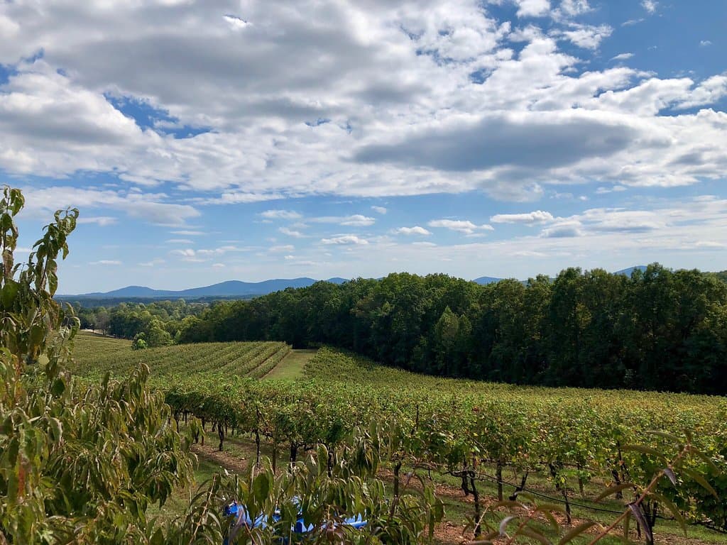 Frogtown Cellars
