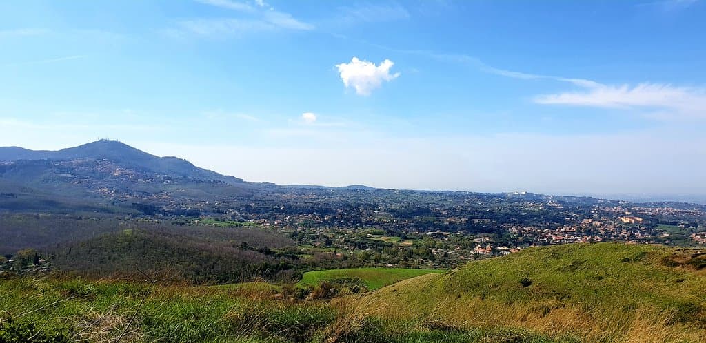 Vista