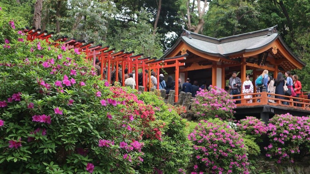 Yanaka Area