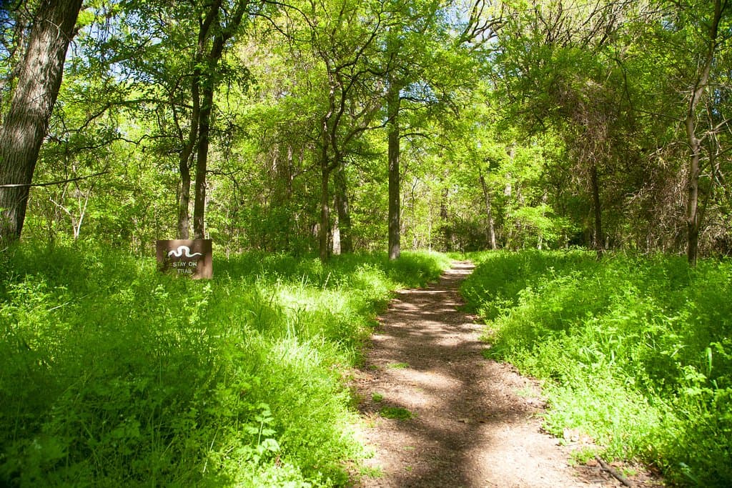 Late afternoon,  Quiet and easy stroll on this natural path is so relaxing..