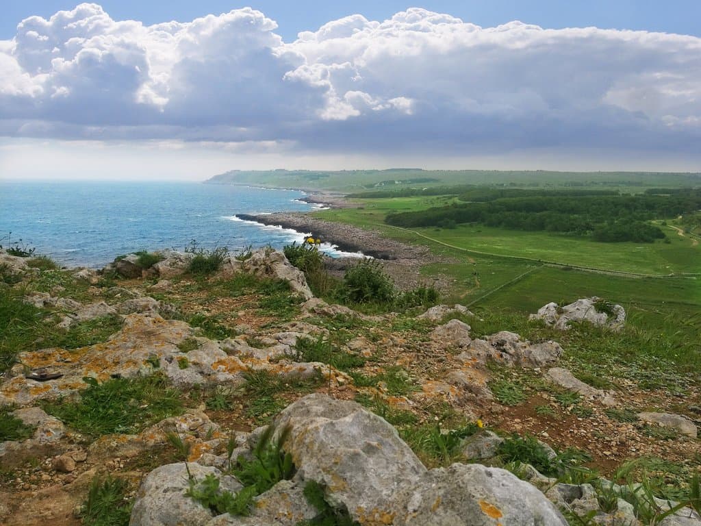 Panorama magnifico