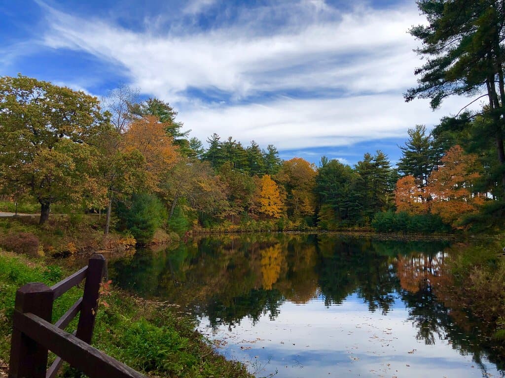 Look Memorial Park