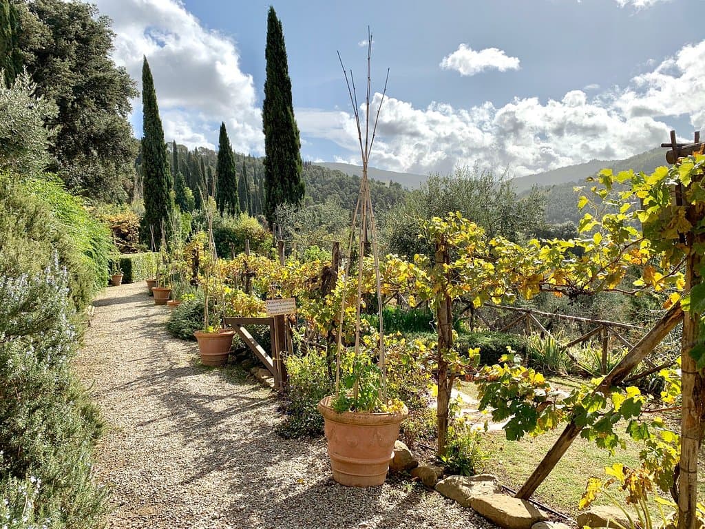 Villa Vignamaggio