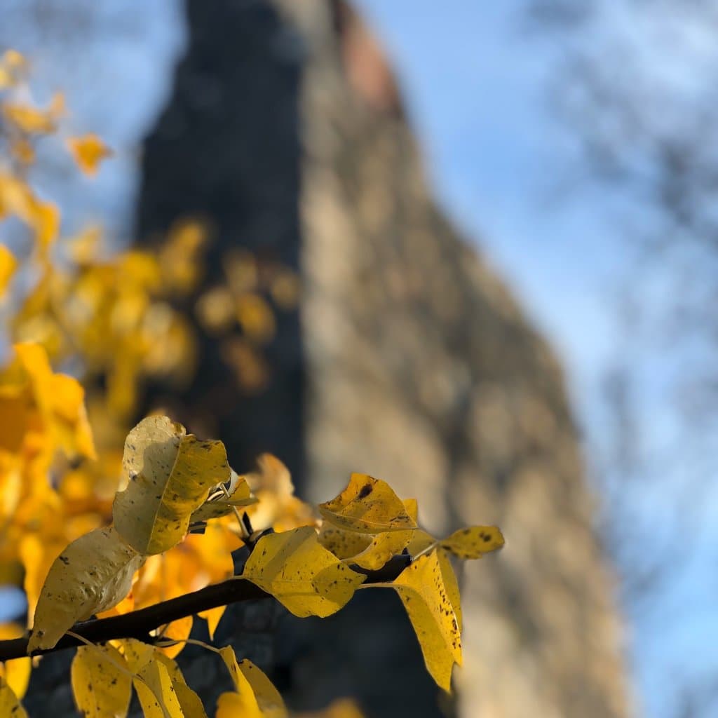 St Lars Church Ruin