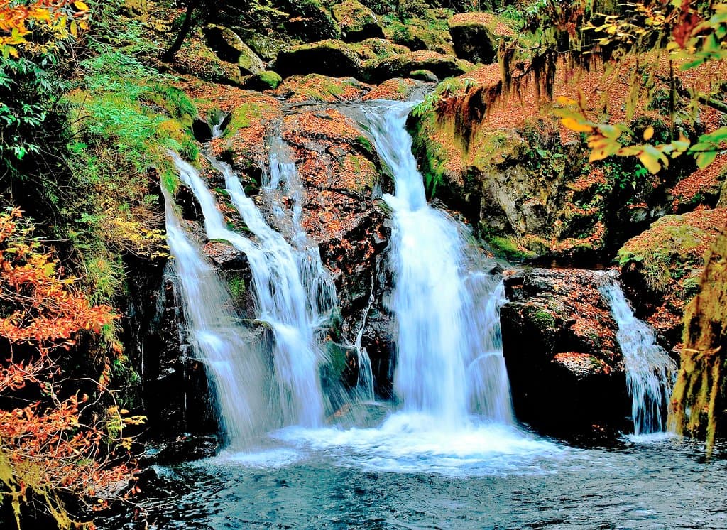 竜ヶ渕・天狗滝